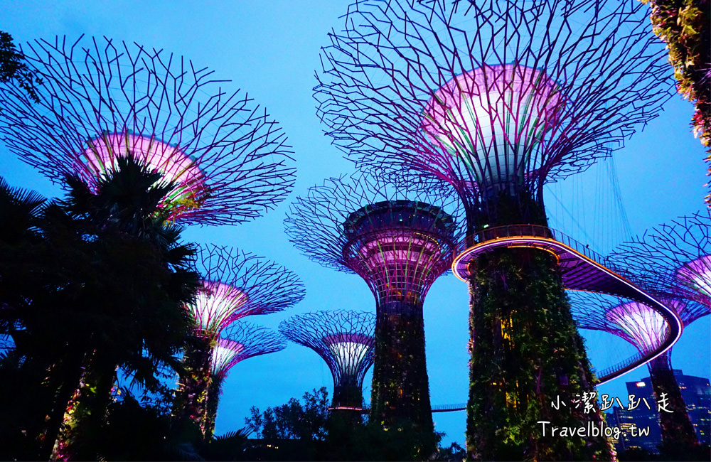 新加坡旅遊景點》大推必去!Gardens by the Bay濱海灣花園SUPERTREE GROVE無敵美的超級樹!
