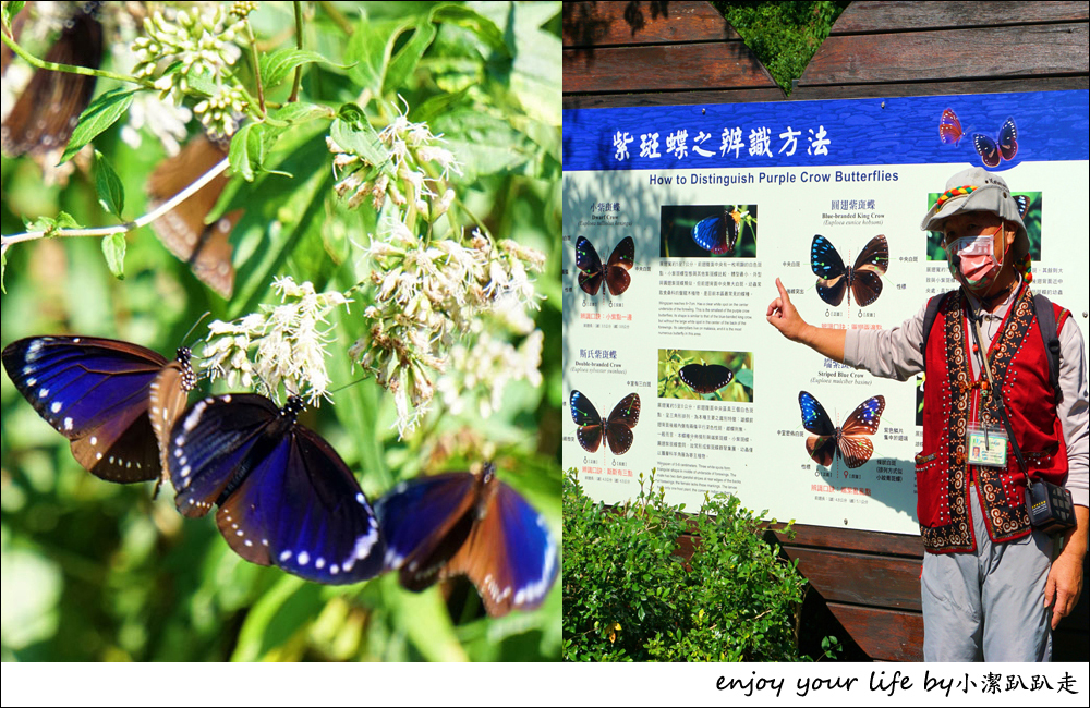 高雄茂林景點｜紫斑蝶生態公園 賞蝶聖地，滿天蝴蝶飛舞獨家私房景點呀！